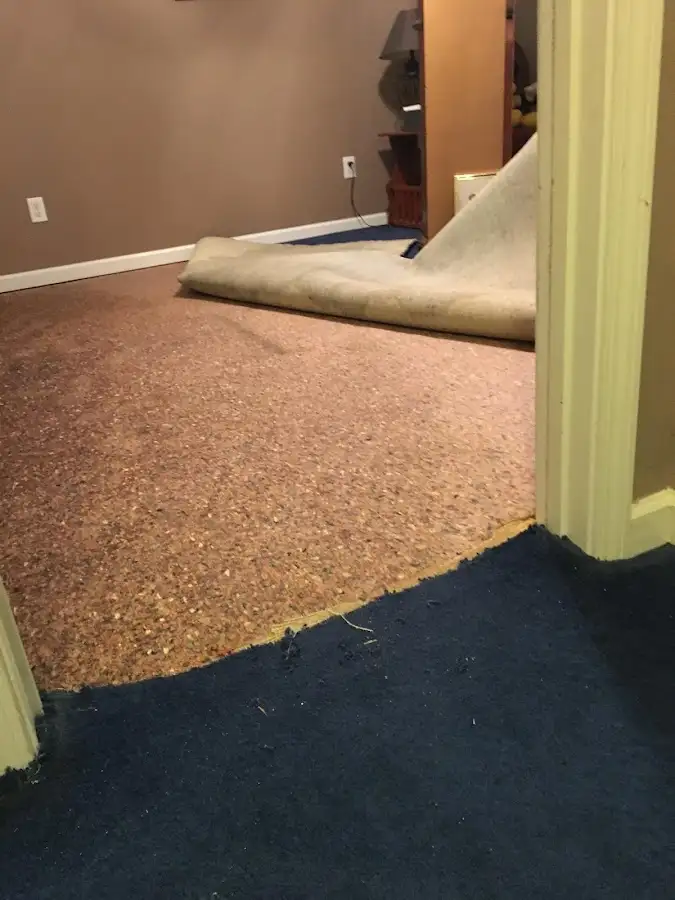 Carpet pad removal revealing water damage during Water Mitigation Services in Springville