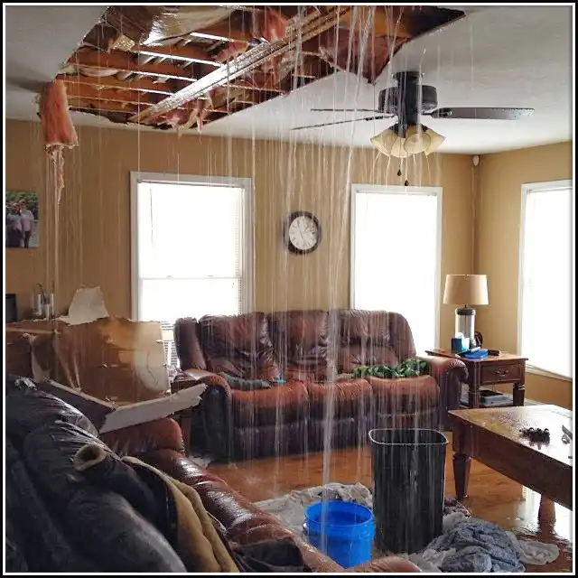 Water Damage Restoration services in Springville, AL