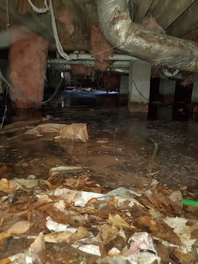 Crawl space flood assessment for Commercial Water Damage Restoration in Springville