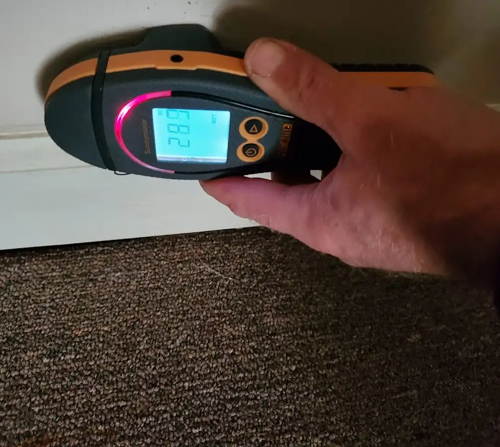 Moisture detection at baseboard during Sewage Cleanup & Sanitation in Springville